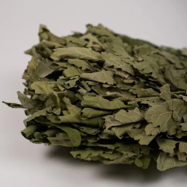 Дубовый веник для бани Левада