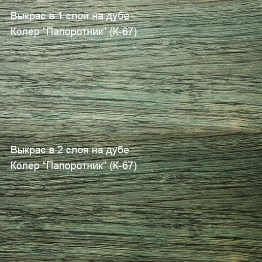 Колер Папоротник (К-67) 100мл